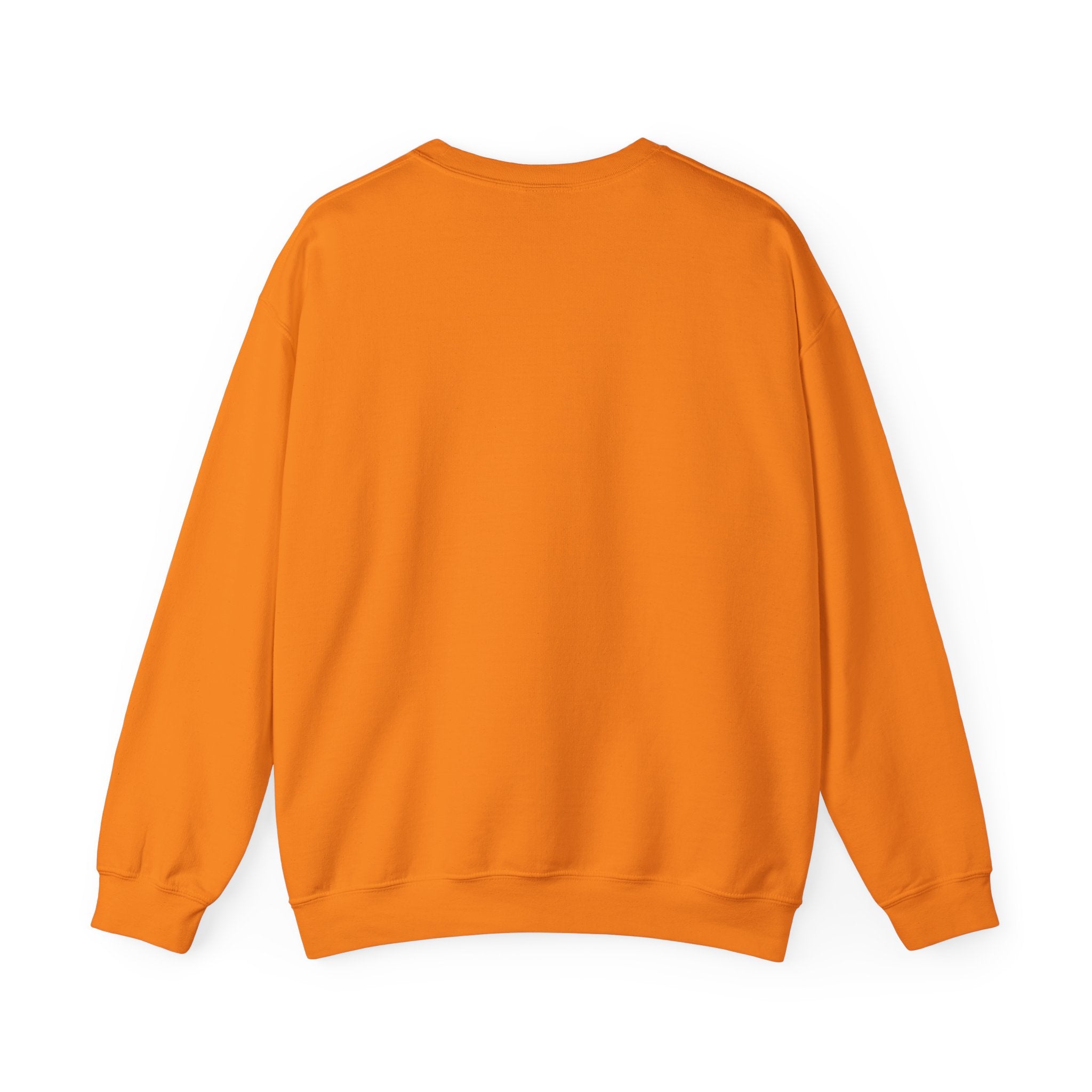Retro Rainbow Sweatshirt — "More Joy Less Room Noise" Floral Crewneck